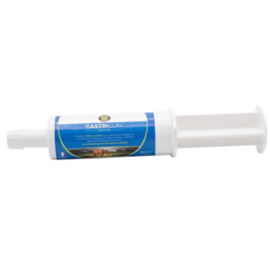 Gastriclay 60ml